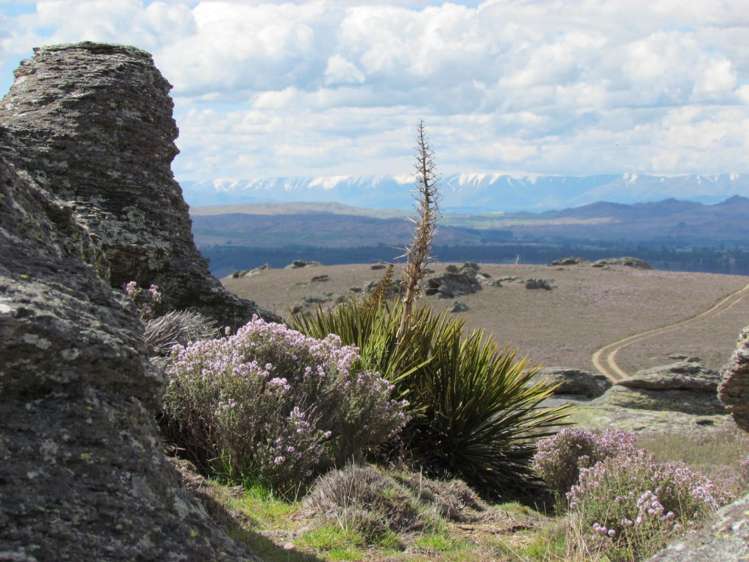 Tor Hill Road Conroys Gully_3