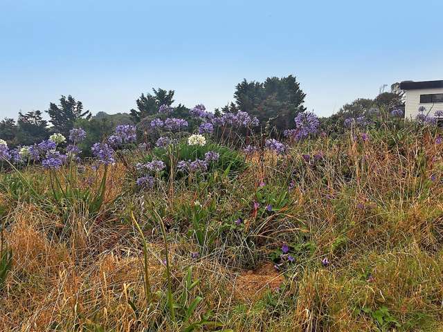 11 Kawau Grove Waikanae Beach_3