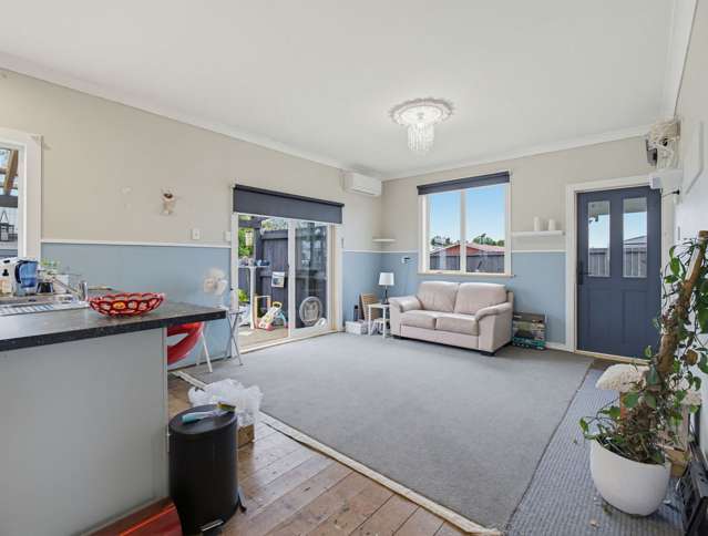 8 Wilton street Levin_2