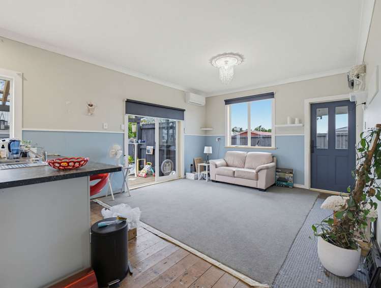 8 Wilton street Levin_1