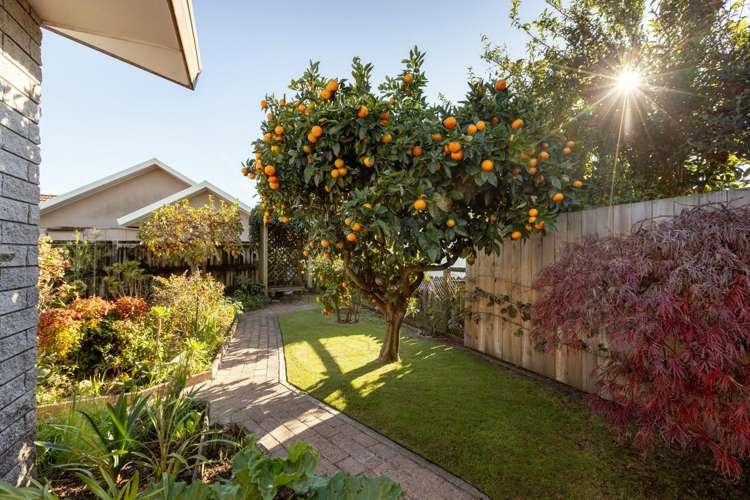 10A Tutauanui Crescent Maungatapu_10