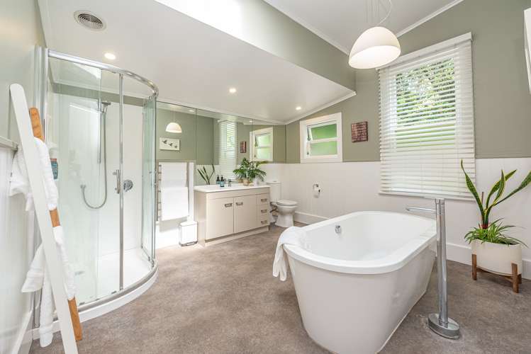 47 Mount View Road Bastia Hill_9