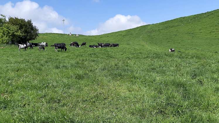 290 Parsons Road Atiamuri_9