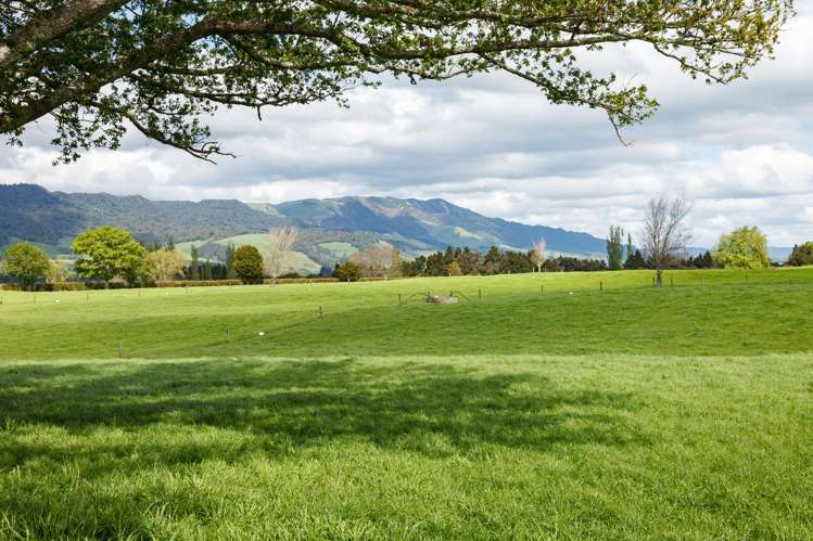 72 and 82 Harding Road Matamata_20