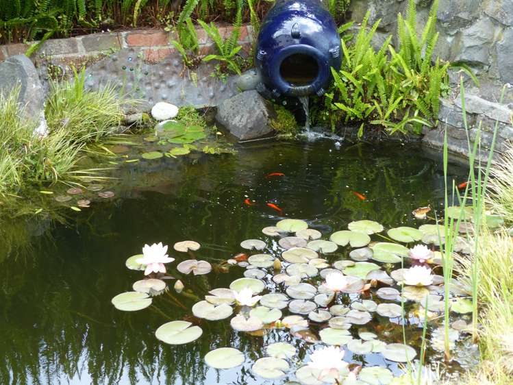 117 Tanekaha Road Titirangi_24