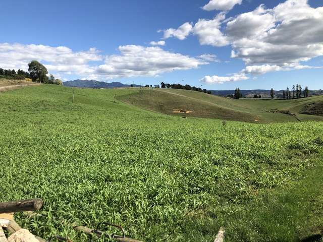 35 Grove Access Road Te Pahu_2