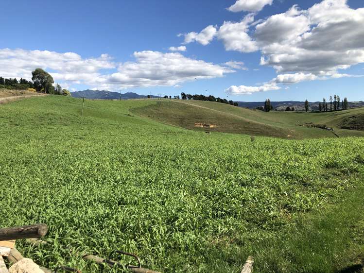 35 Grove Access Road Te Pahu_2