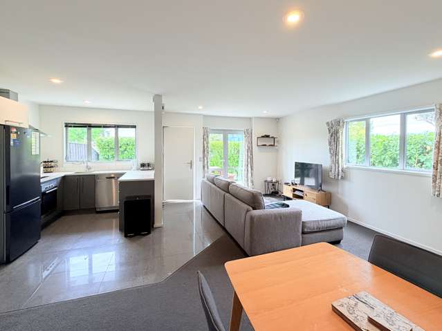 42 Mustang Avenue Wigram_4