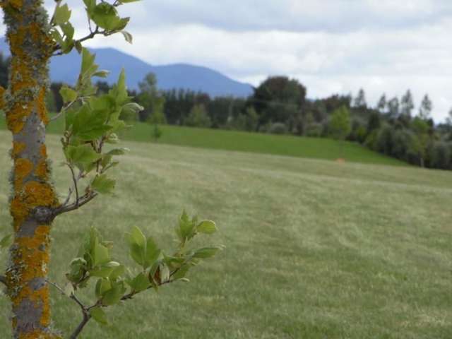 9 Eagle Place Martinborough_3