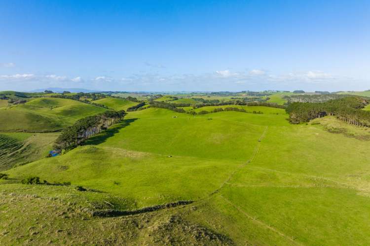386 Rehutai Road Dargaville Surrounds_11