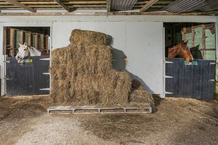 19 Lloyd Road Riverhead_19