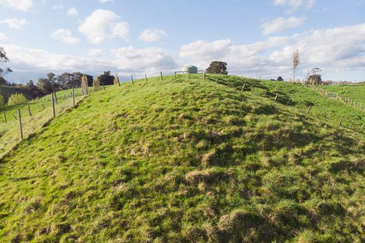 47 Knight Road Dannevirke_24