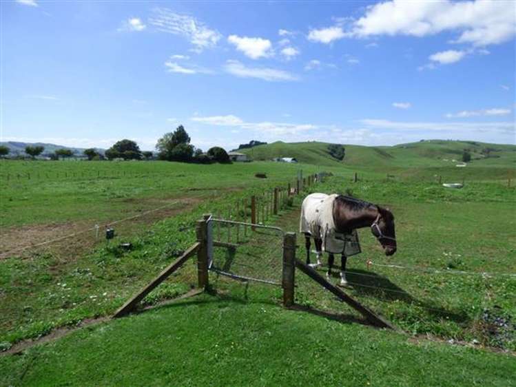 453 Mangaorongo Road Otorohanga_16