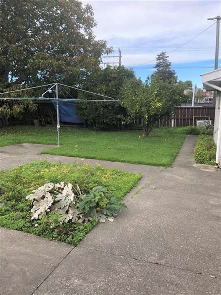 31 Ferry Road Spring Creek_11