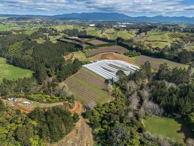 251B Esdaile Road Whakamarama_1
