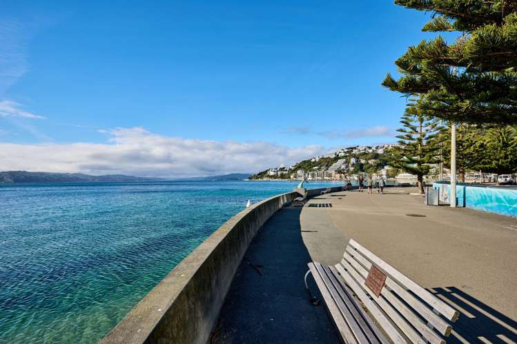 6/166 Oriental Parade Oriental Bay_31
