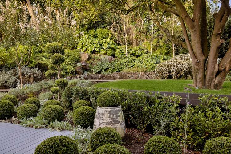 11 Valley Road Mt Eden_6