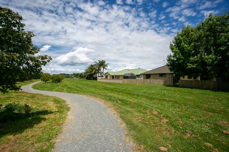 23 Burr Street Cambridge_19