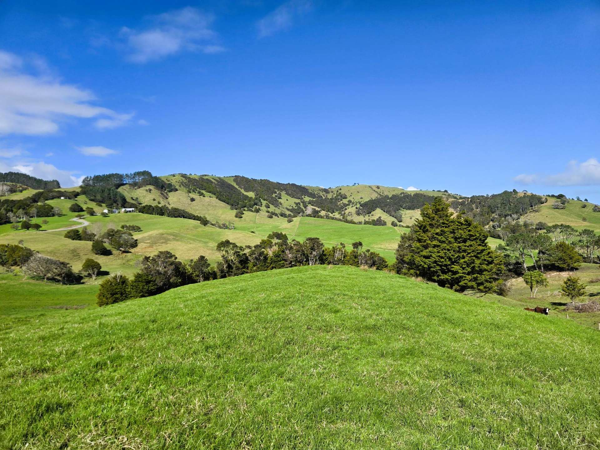 Whakahara Road Dargaville_0