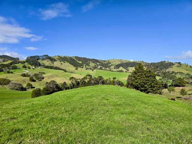 A Slice of Paradise in the Heart of Northland