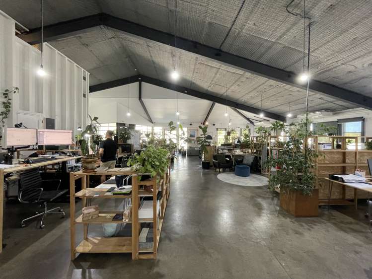 21 Scanlan Street Grey Lynn_7