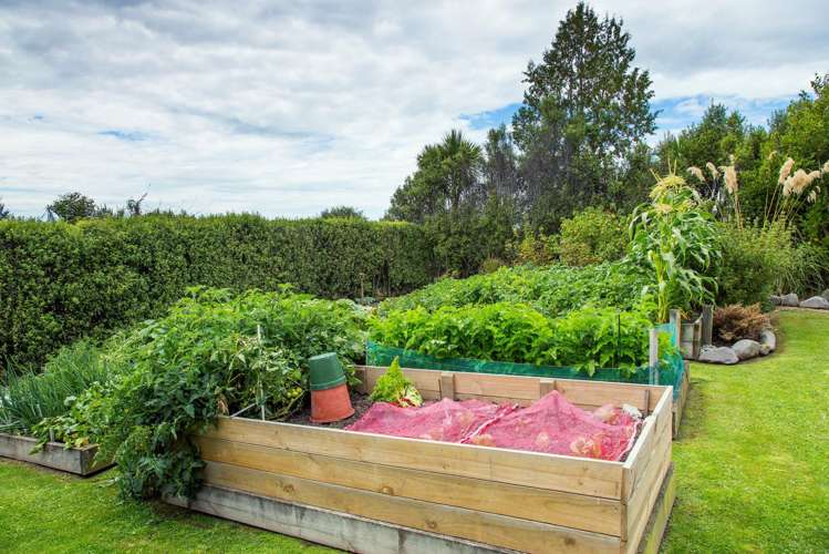 306 Downs Road Geraldine_18