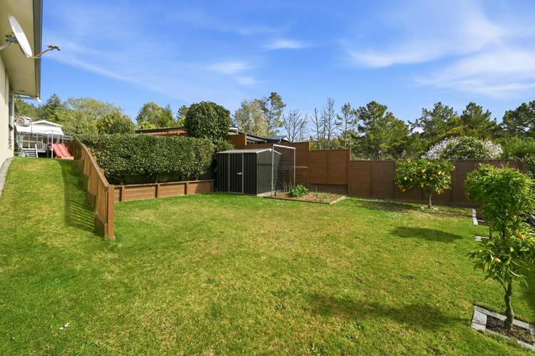 29 Raniera Place Springfield_24