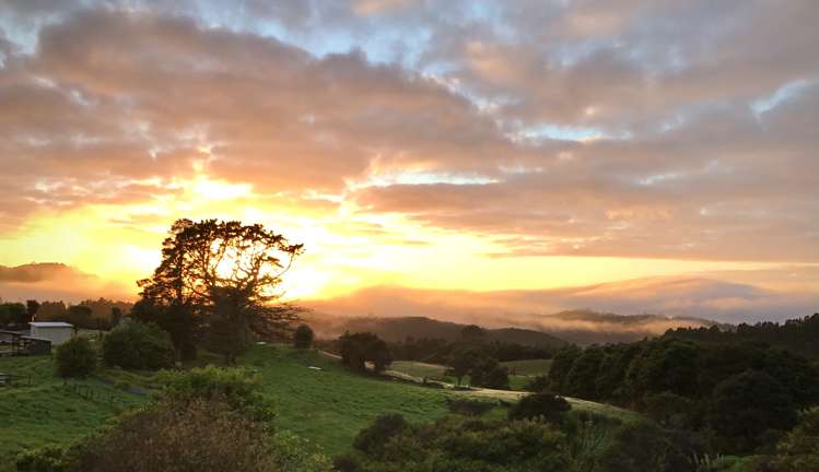 23 Laingfield Terrace Laingholm_30