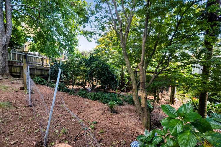 19 Rawhiti Street Vogeltown_25