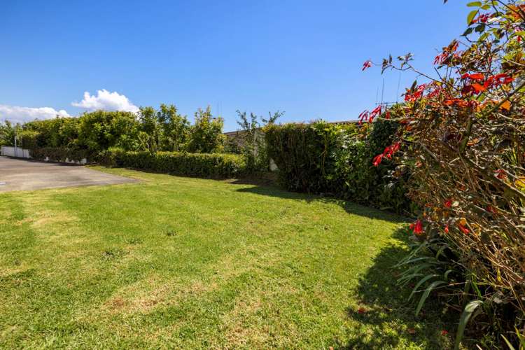 517 Otumoetai Road Otumoetai_9