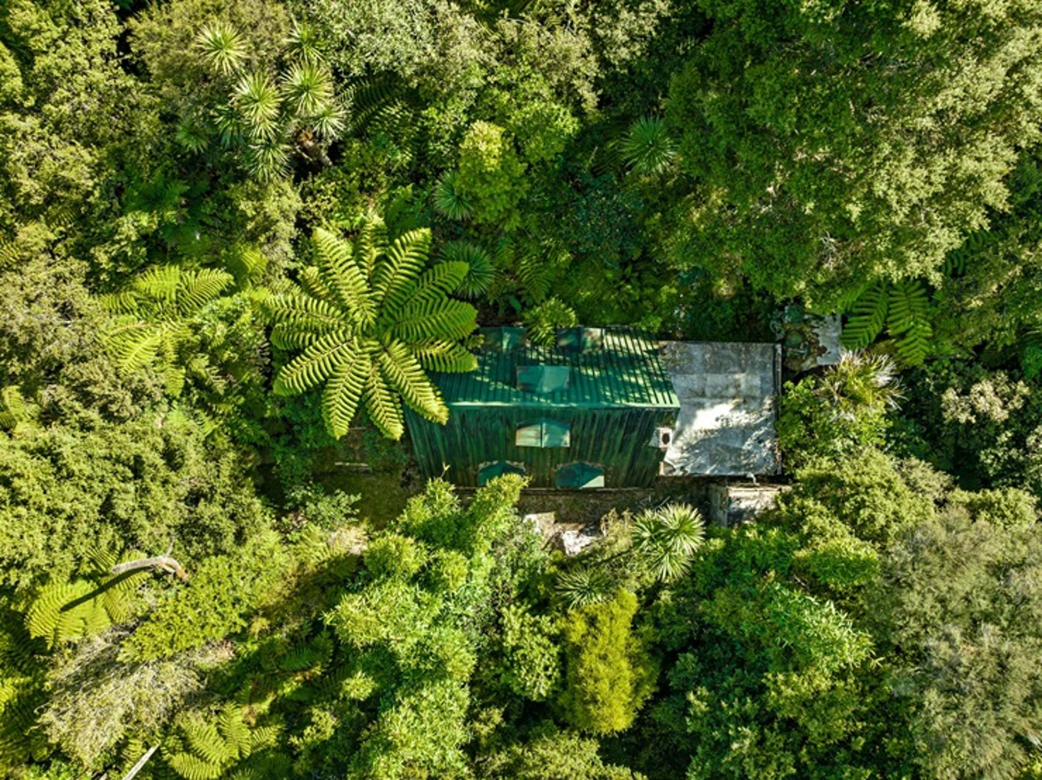 Danish buyer looking for NZ escape snaps up ‘lost world’ hut for $500,000-plus