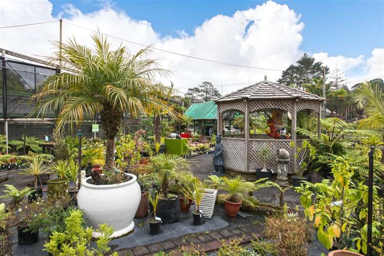 316 Henderson Valley Road Henderson Valley_13