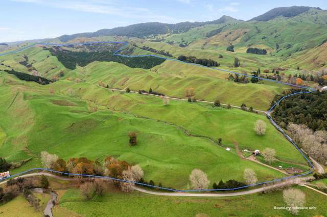 124 Haku Road Mangaotaki_2