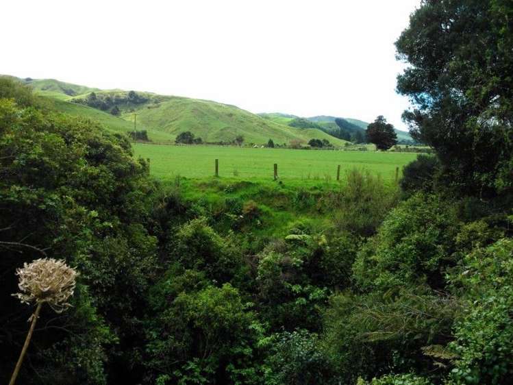 1465 Waitahora Road Dannevirke_12