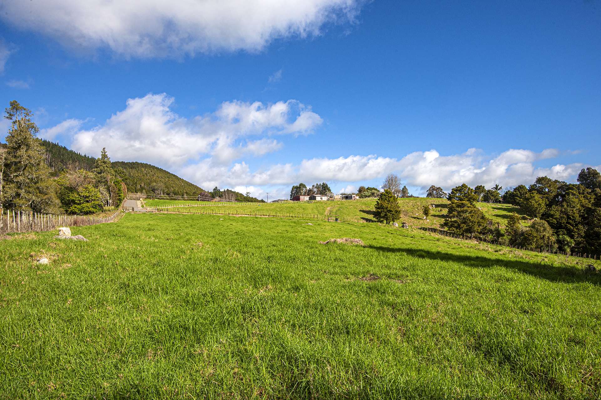 433 & 451 Crane Road Kauri_0