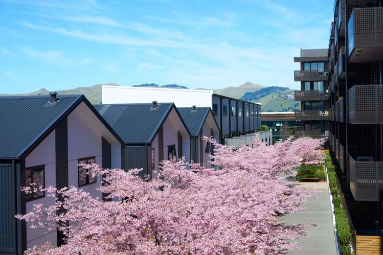 106/36a Welles Street Christchurch Central_23