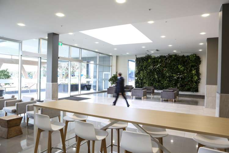 45 O'Rorke Road Penrose_5