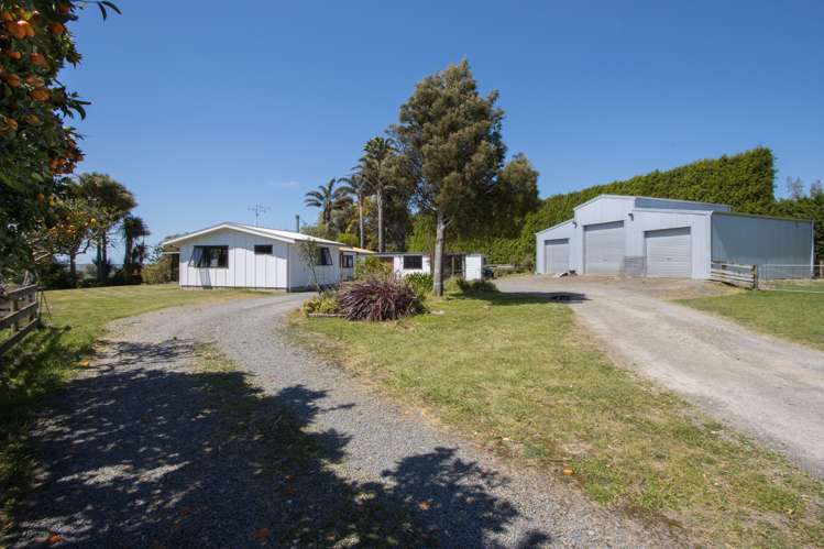 117b Matahui Road Aongatete_23