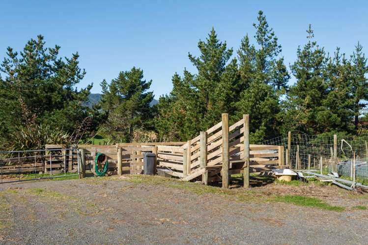 976 Old Te Aroha Road Okauia_28