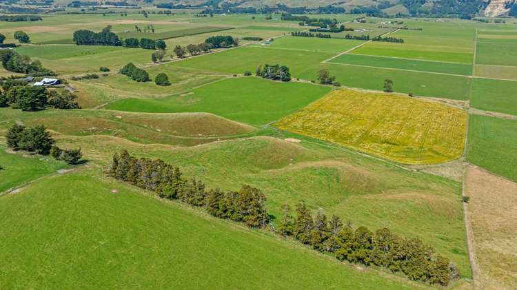 2054 Kimbolton Road Kiwitea_9