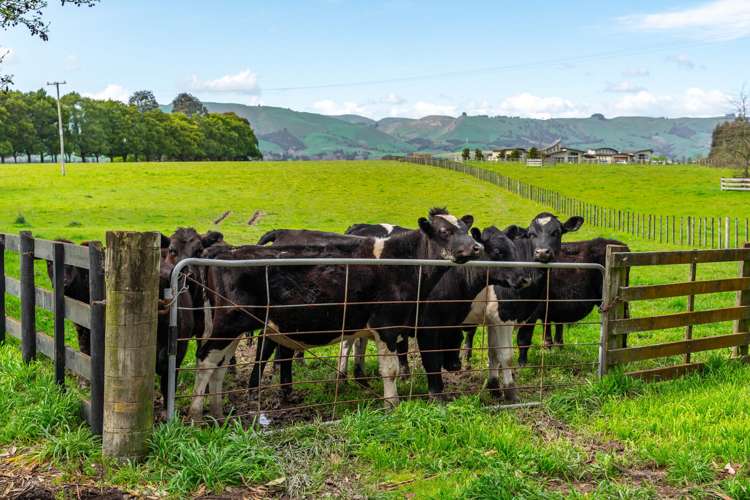 715b East Taratahi Road Carterton_13