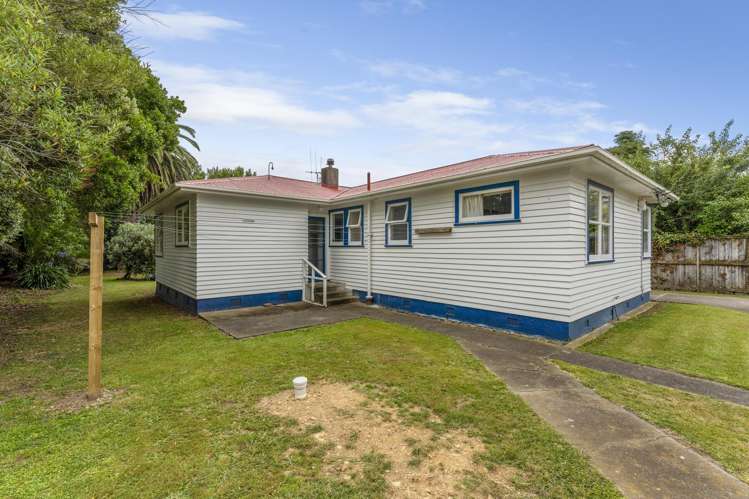 20A Mckenzie Street Levin_13