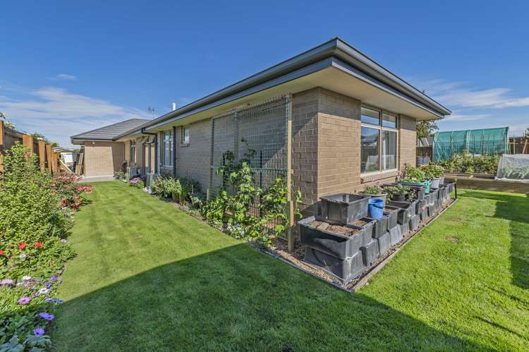 47 Navy Loop Rolleston_26