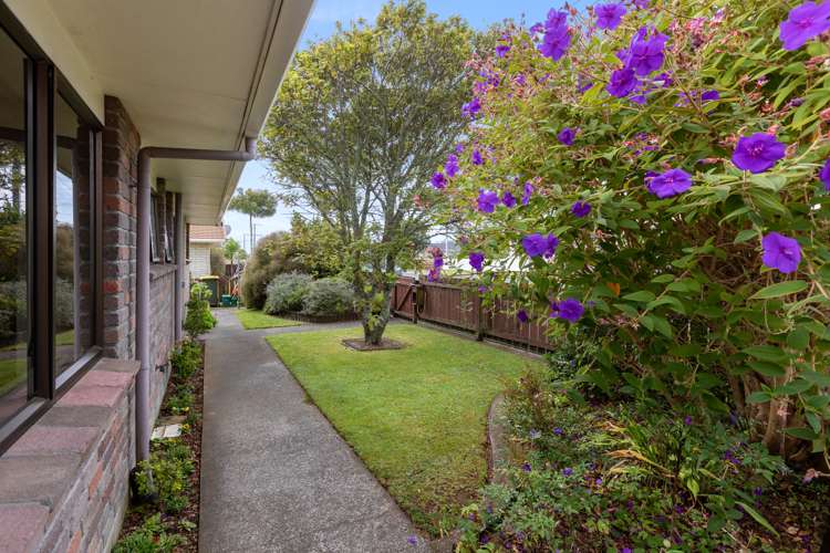 256 Tukapa Street Hurdon_24