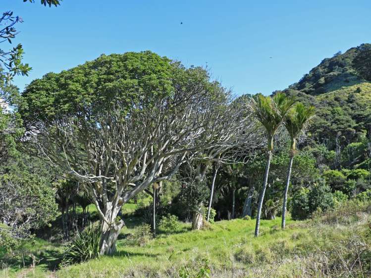 24 Boulder Bay Drive Tuateawa_12