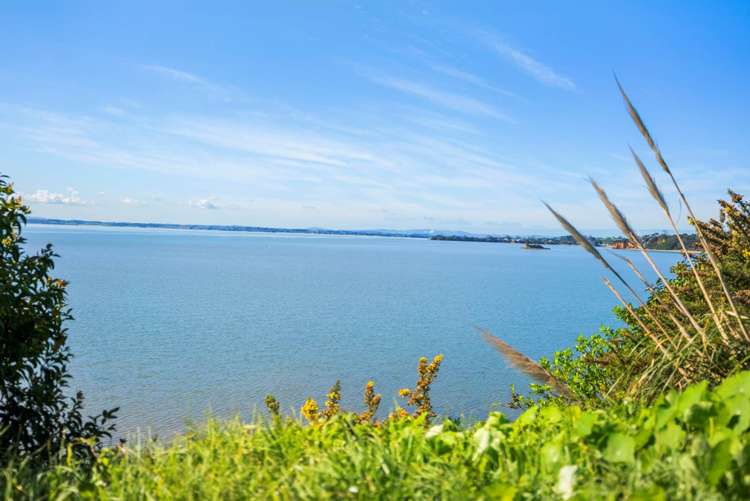 144 Kauri Road Awhitu_7