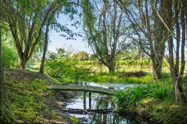 838 Rapaura Road Rapaura_24