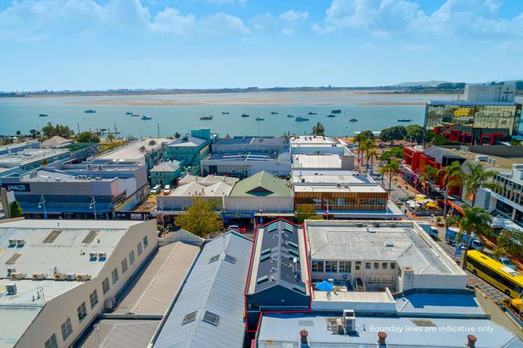 133 Willow Street Tauranga Central_6