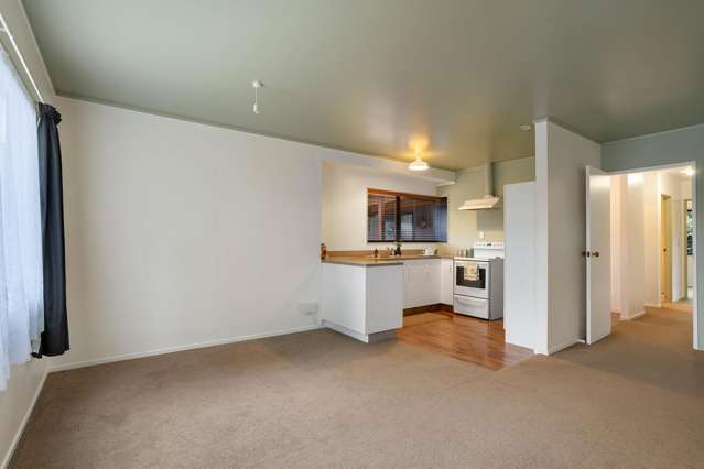 105B Tirohanga Drive Whangamata_2