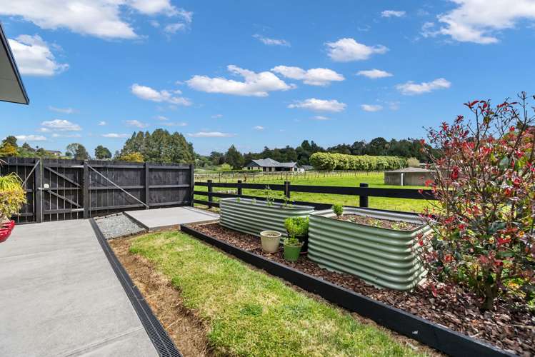 72 Golf Harbour Drive Maunu_30